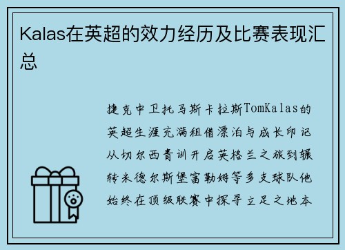 Kalas在英超的效力经历及比赛表现汇总