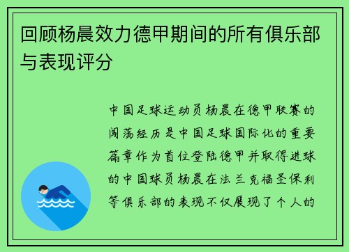 回顾杨晨效力德甲期间的所有俱乐部与表现评分