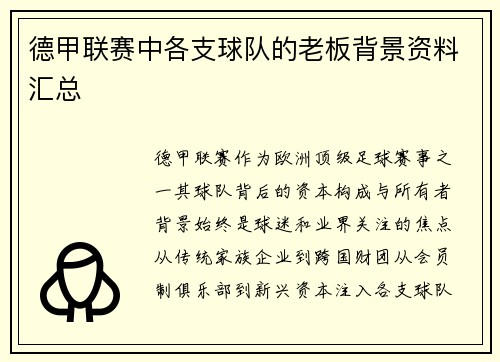 德甲联赛中各支球队的老板背景资料汇总